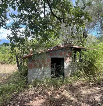 Foto annuncio 6