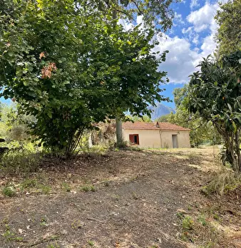Foto annuncio 29