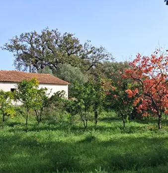 Foto annuncio 20