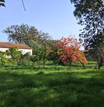 Foto annuncio 25