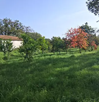 Foto annuncio 38