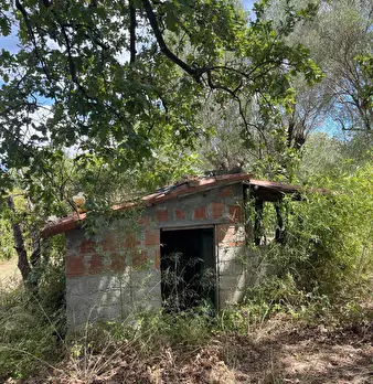 Foto annuncio 42