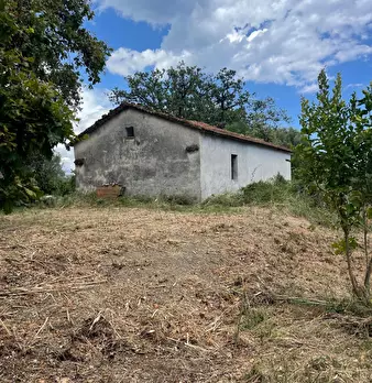 Foto annuncio 7
