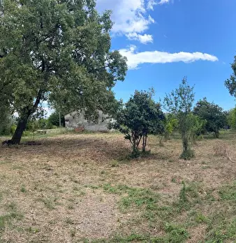 Foto annuncio 22