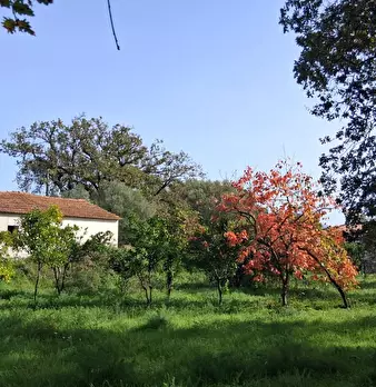 Foto annuncio 48