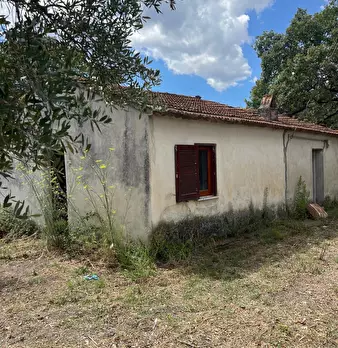 Foto annuncio 57