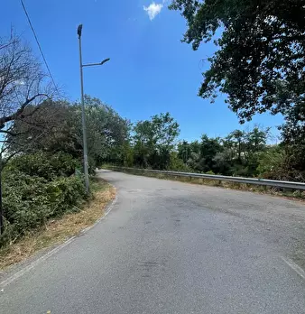 Foto annuncio 24