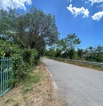 Foto annuncio 37