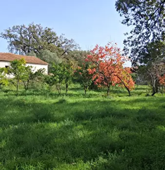Foto annuncio 53