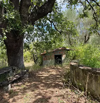 Foto annuncio 5