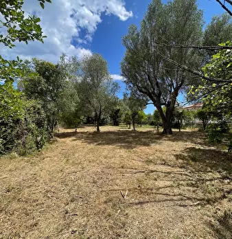 Foto annuncio 39