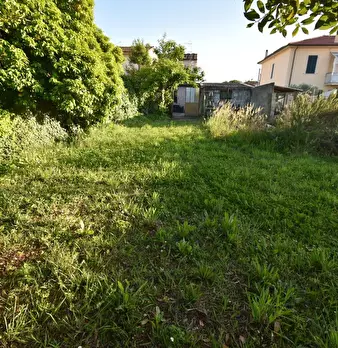 Foto annuncio 55