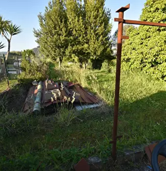 Foto annuncio 53
