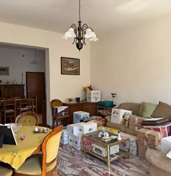 Foto annuncio 7
