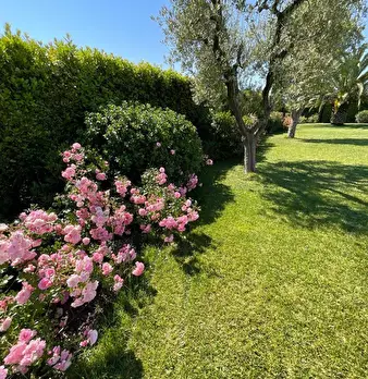 Foto annuncio 27
