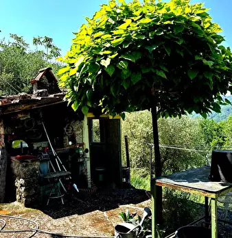 Foto annuncio 22