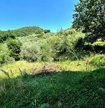 Foto annuncio 23