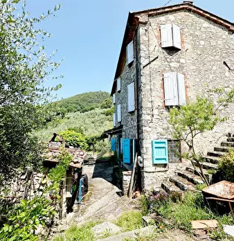 Foto annuncio 1