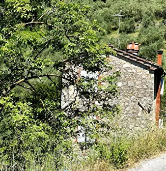 Foto annuncio 26