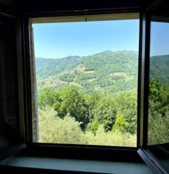 Foto annuncio 15