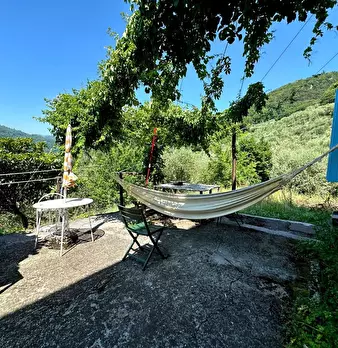 Foto annuncio 21