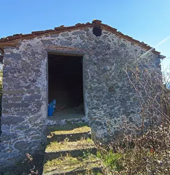 Foto annuncio 3