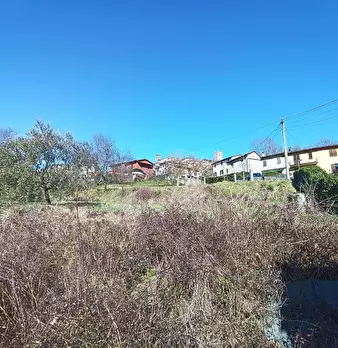 Foto annuncio 6