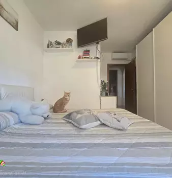 Foto annuncio 21