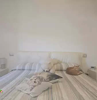 Foto annuncio 18
