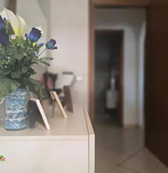 Foto annuncio 15