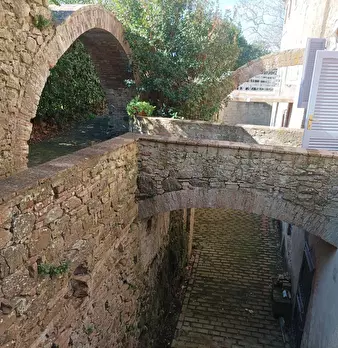 Foto annuncio 3