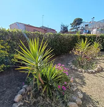 Foto annuncio 38