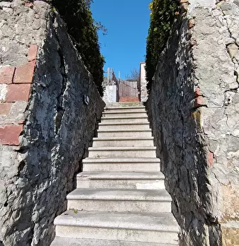 Foto annuncio 41