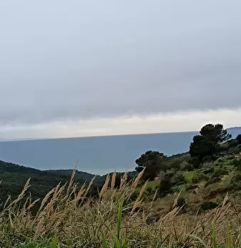 Foto annuncio 27