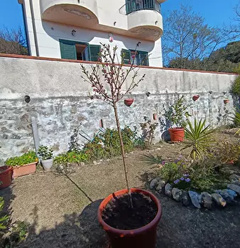 Foto annuncio 39