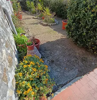 Foto annuncio 40