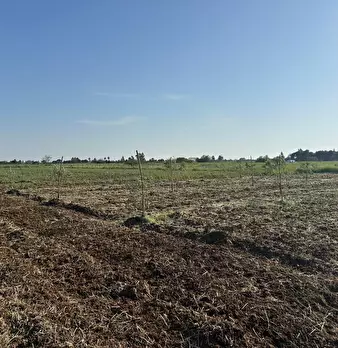 Foto annuncio 12
