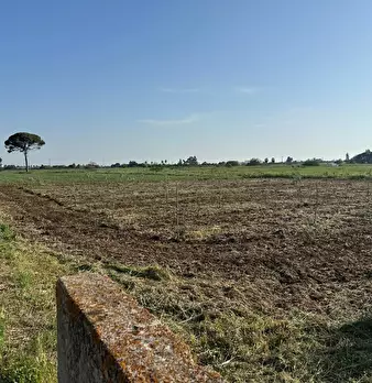 Foto annuncio 11