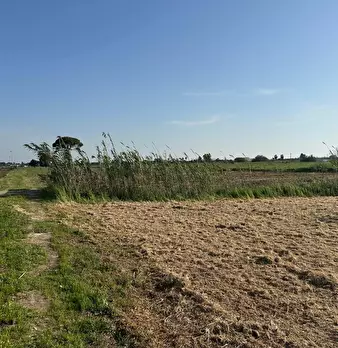 Foto annuncio 10