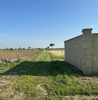 Foto annuncio 5