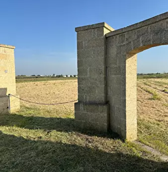 Foto annuncio 2
