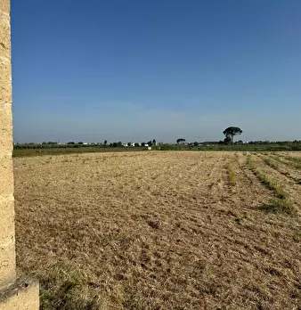 Foto annuncio 4