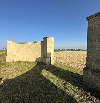 Foto annuncio 13