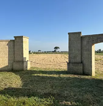 Foto annuncio 1