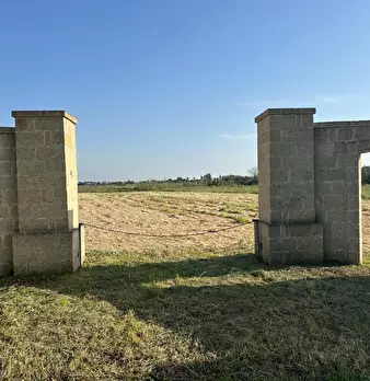 Foto annuncio 3