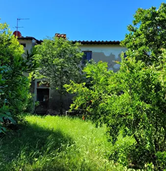 Foto annuncio 11