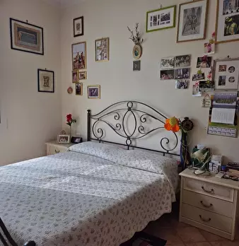 Foto annuncio 13