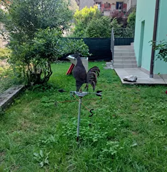 Foto annuncio 1