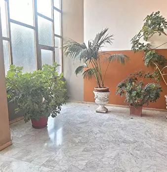 Foto annuncio 41
