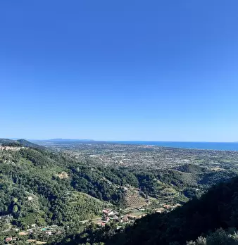 Foto annuncio 39